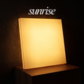 Sol Study Light